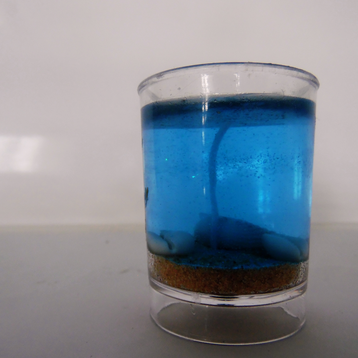 Shot bardak jel Mum